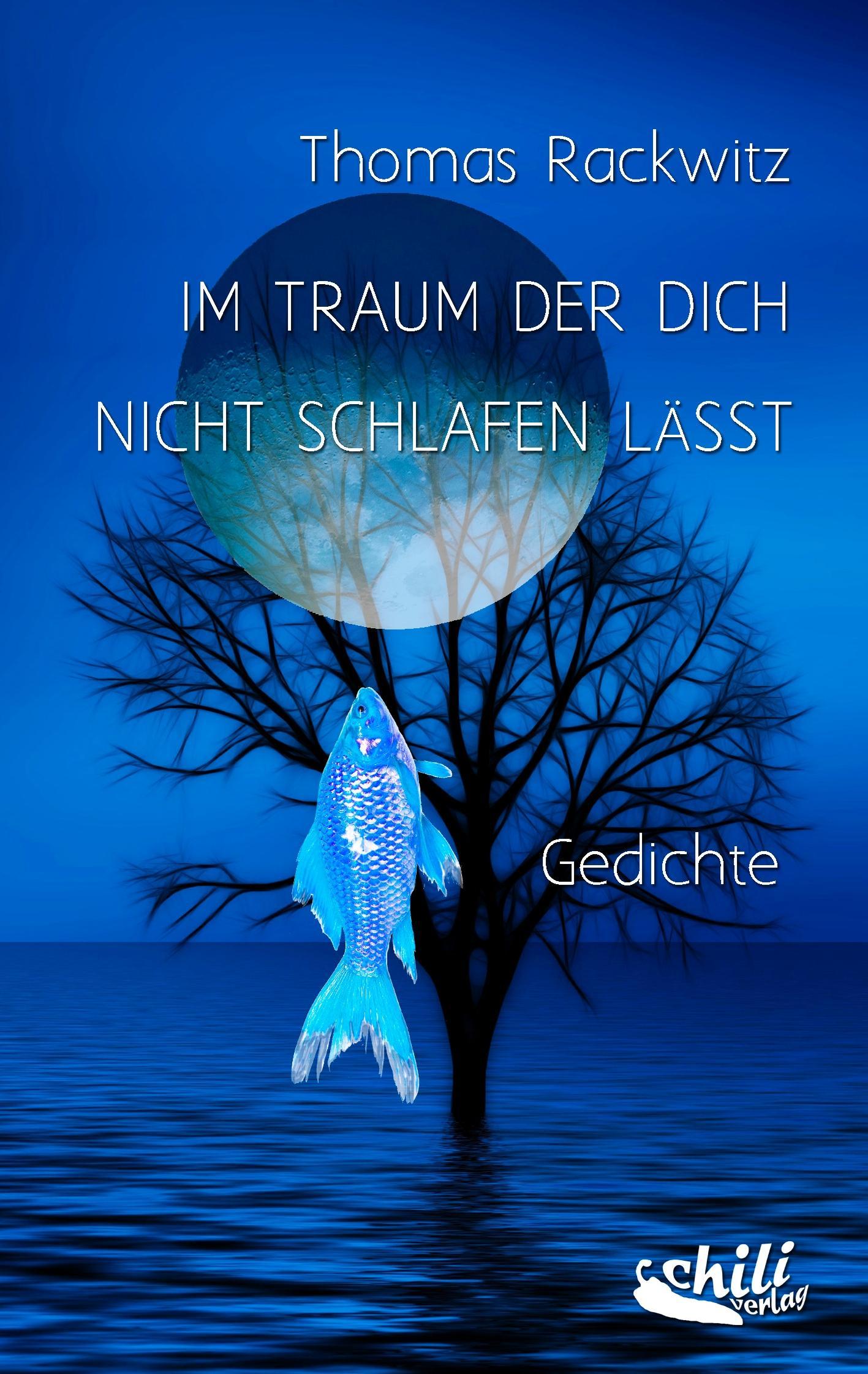 Vorderes Coverbild Im Traum der dich nicht schlafen lässt