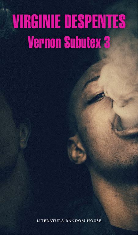 Vorderes Coverbild Vernon Subutex 3