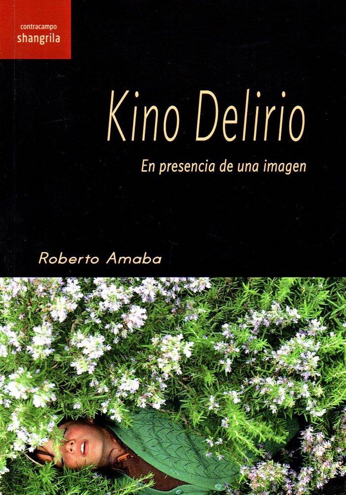 Vorderes Coverbild Kino Delirio : en presencia de una imagen