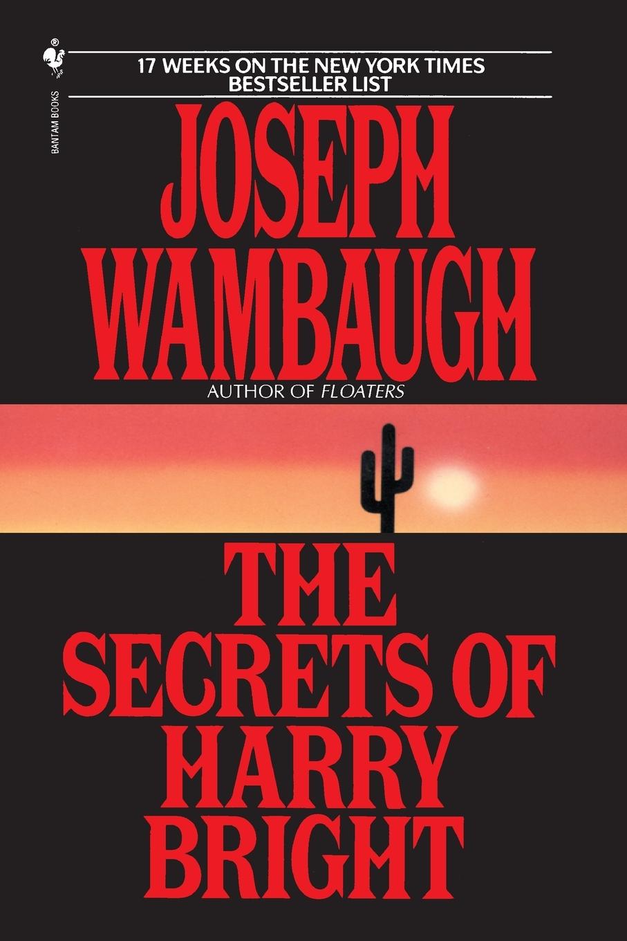 Vorderes Coverbild The Secrets of Harry Bright