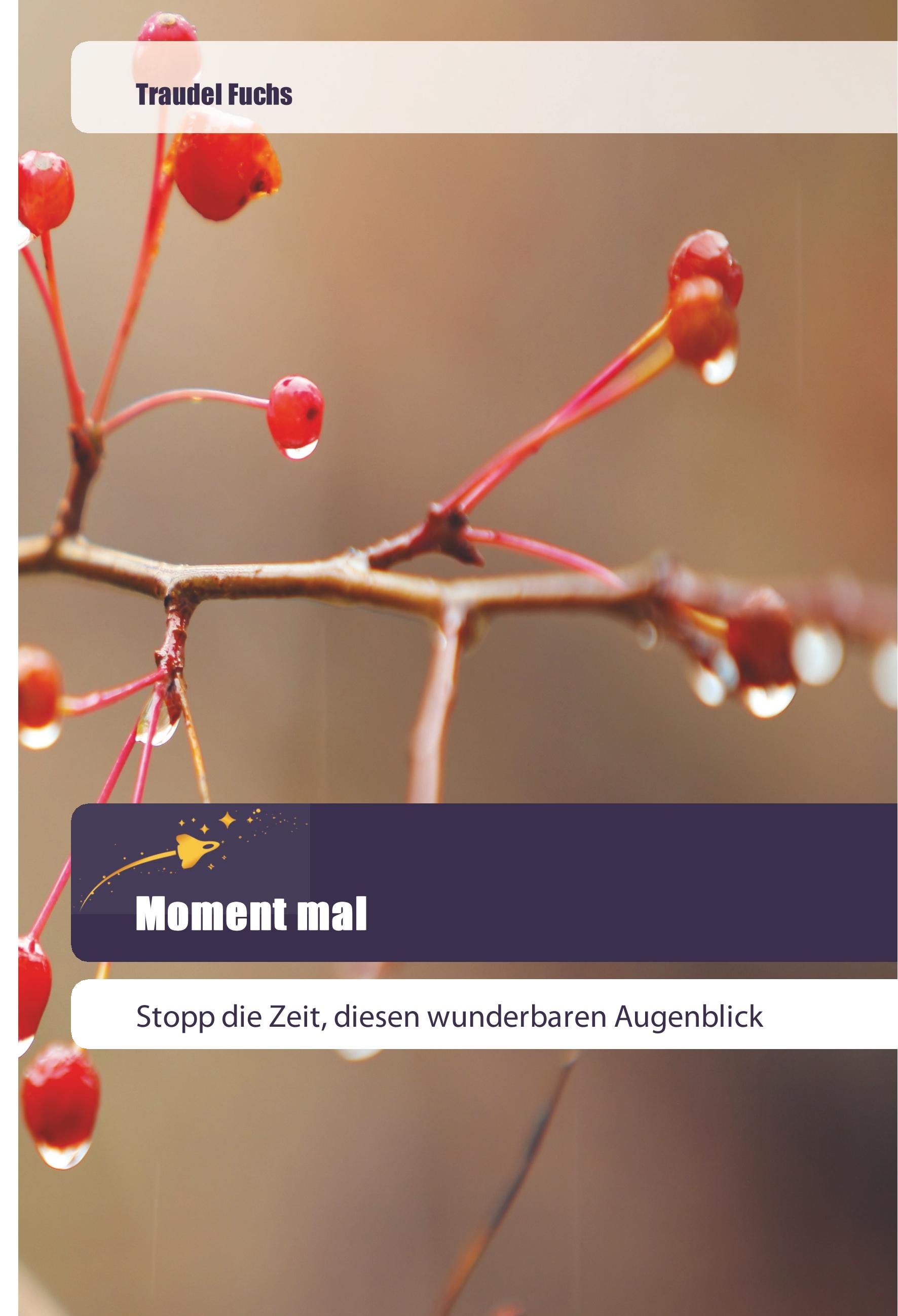 Vorderes Coverbild Moment mal