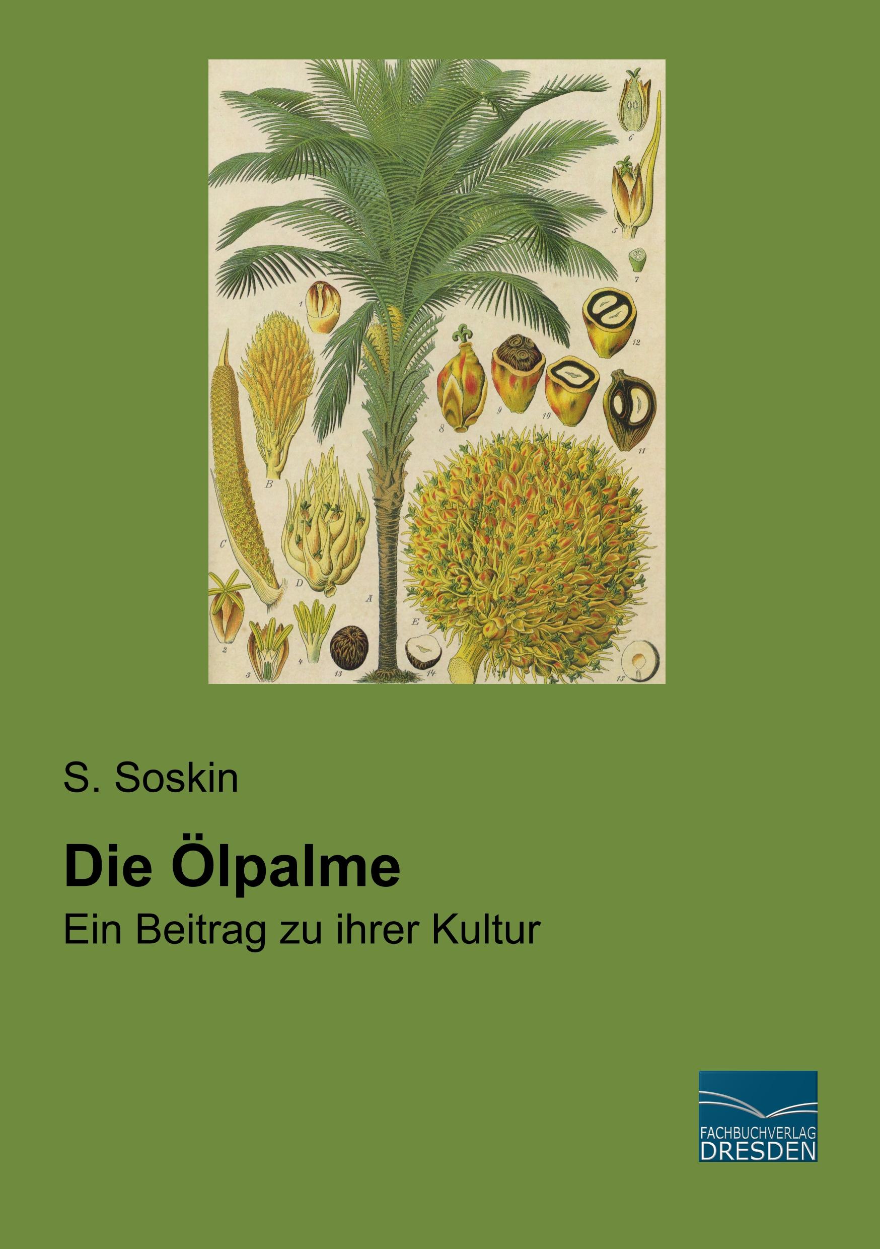 Vorderes Coverbild Die Ölpalme