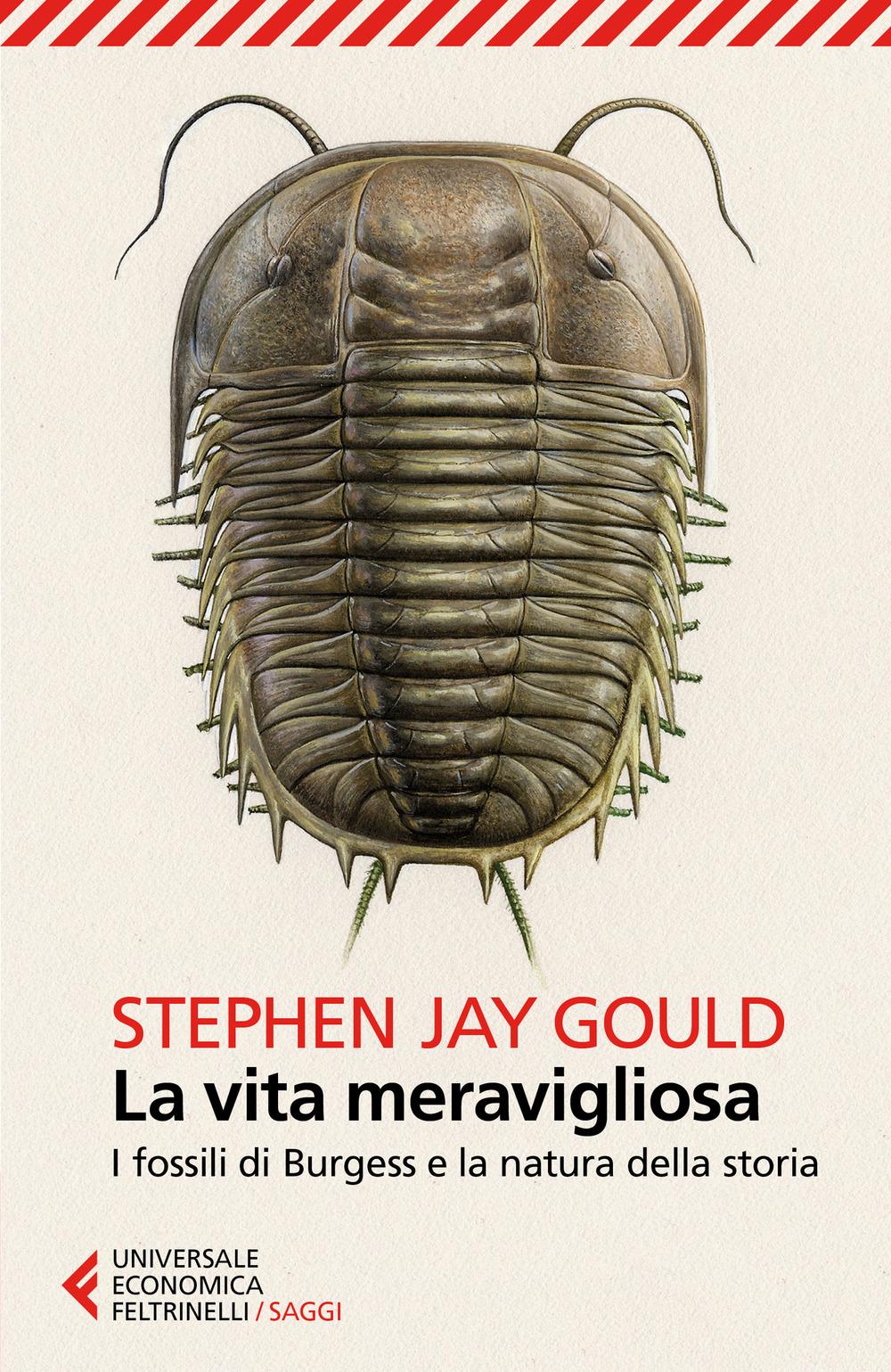 Vorderes Coverbild La vita meravigliosa. I fossili di Burgess e la natura della storia