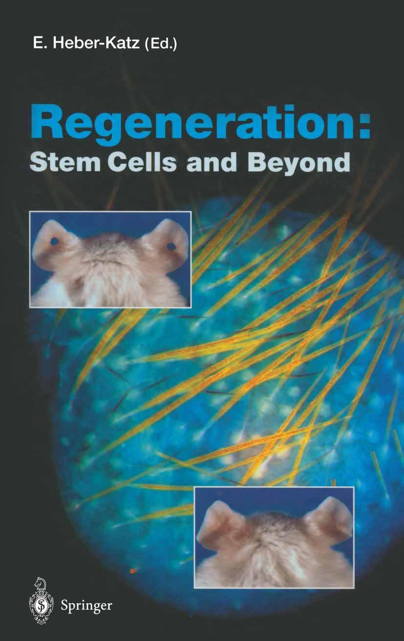Vorderes Coverbild Regeneration: Stem Cells and Beyond