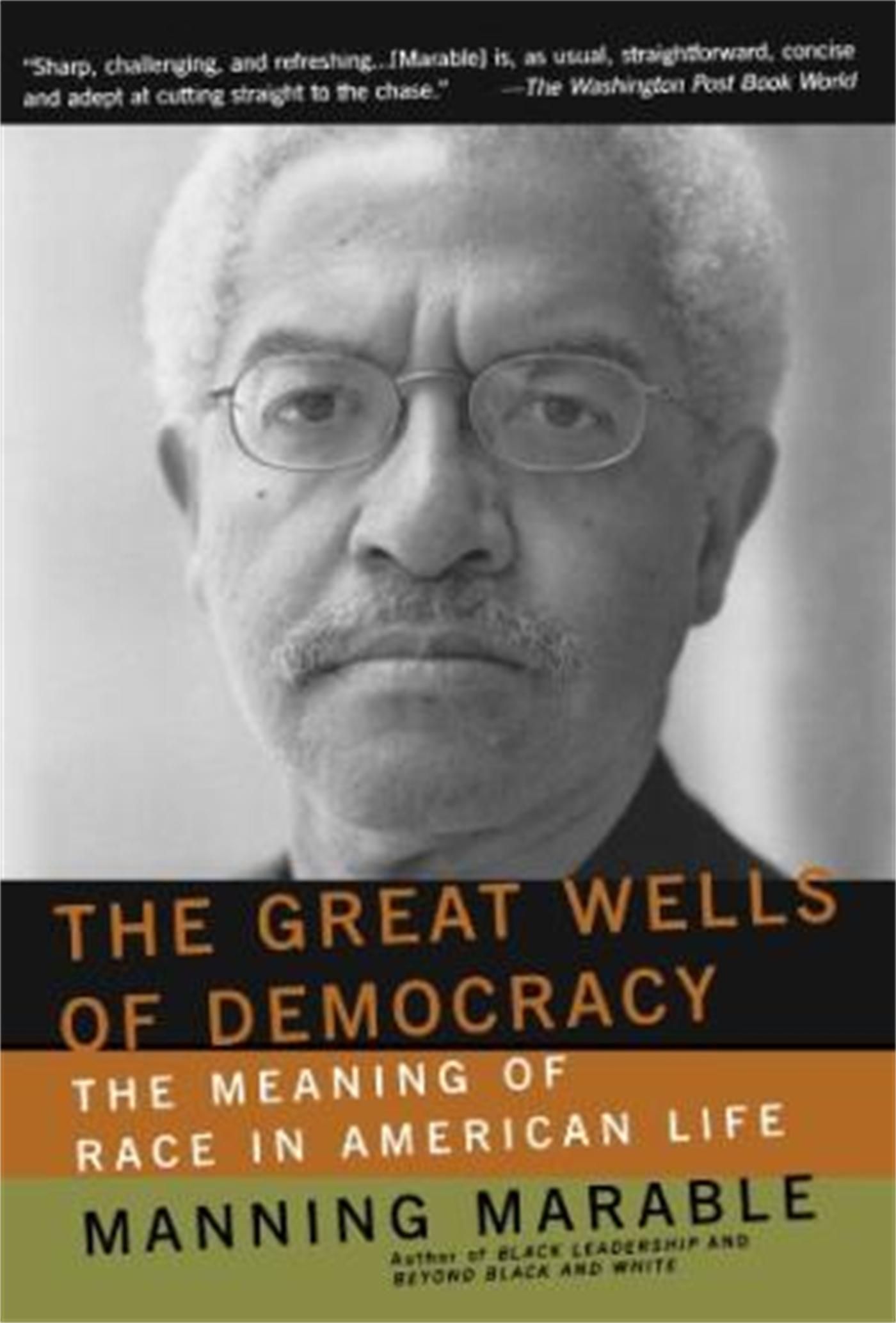 Vorderes Coverbild The Great Wells of Democracy