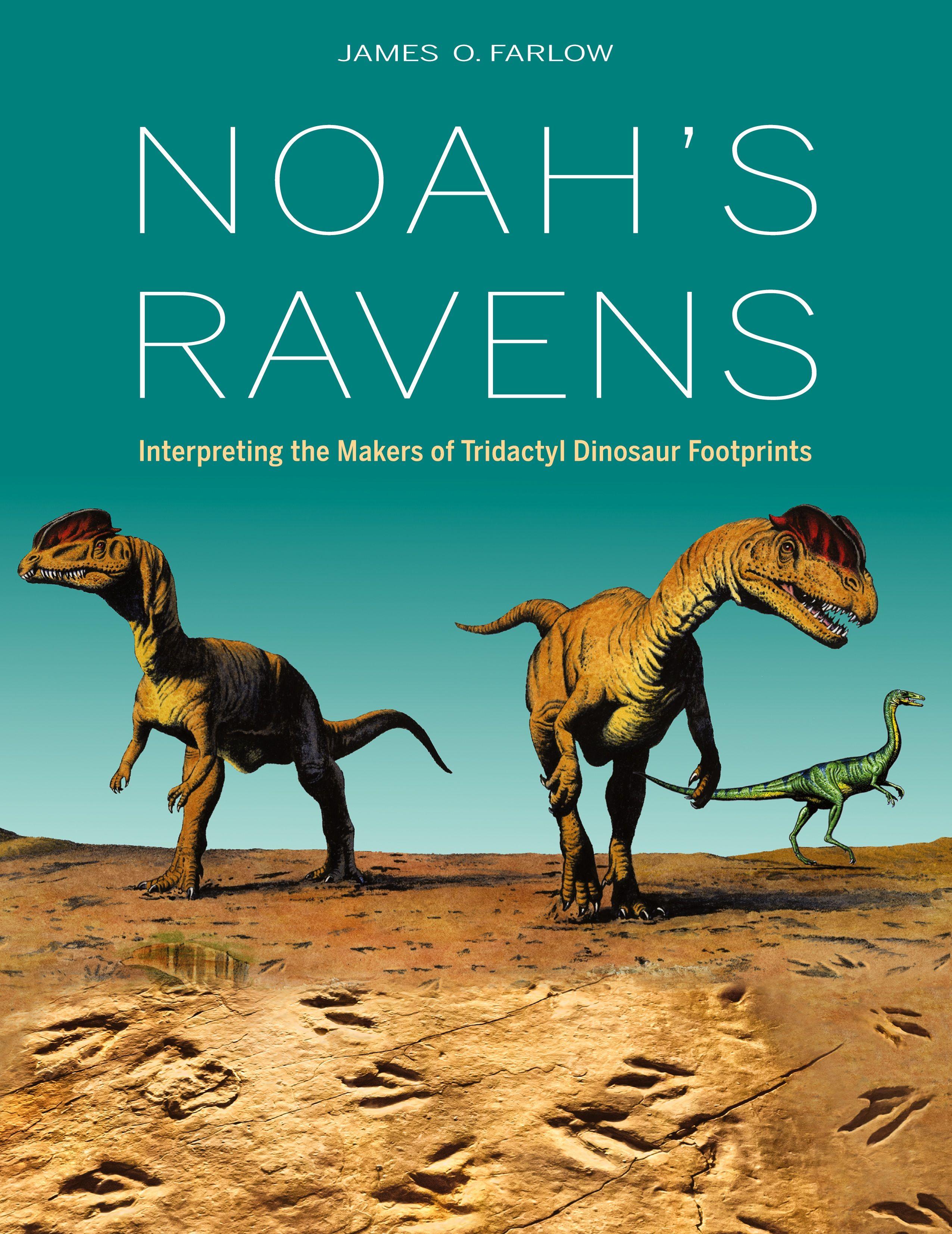 Vorderes Coverbild Noah's Ravens