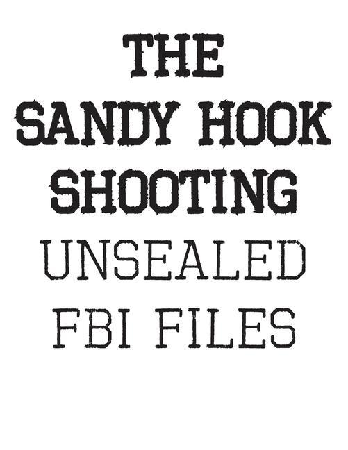 Vorderes Coverbild The Sandy Hook Shooting