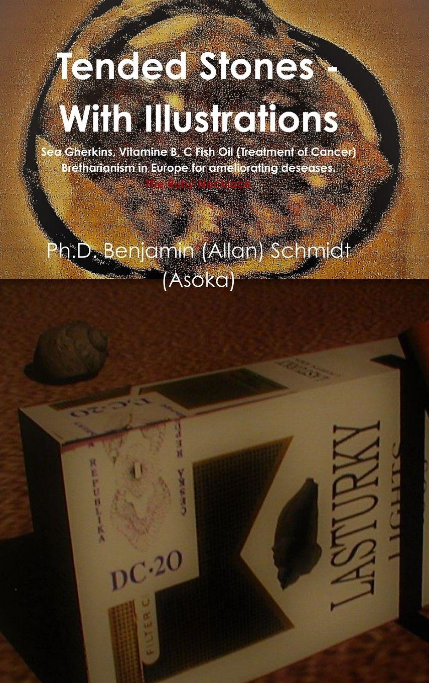 Vorderes Coverbild Tended Stones - With Illustrations