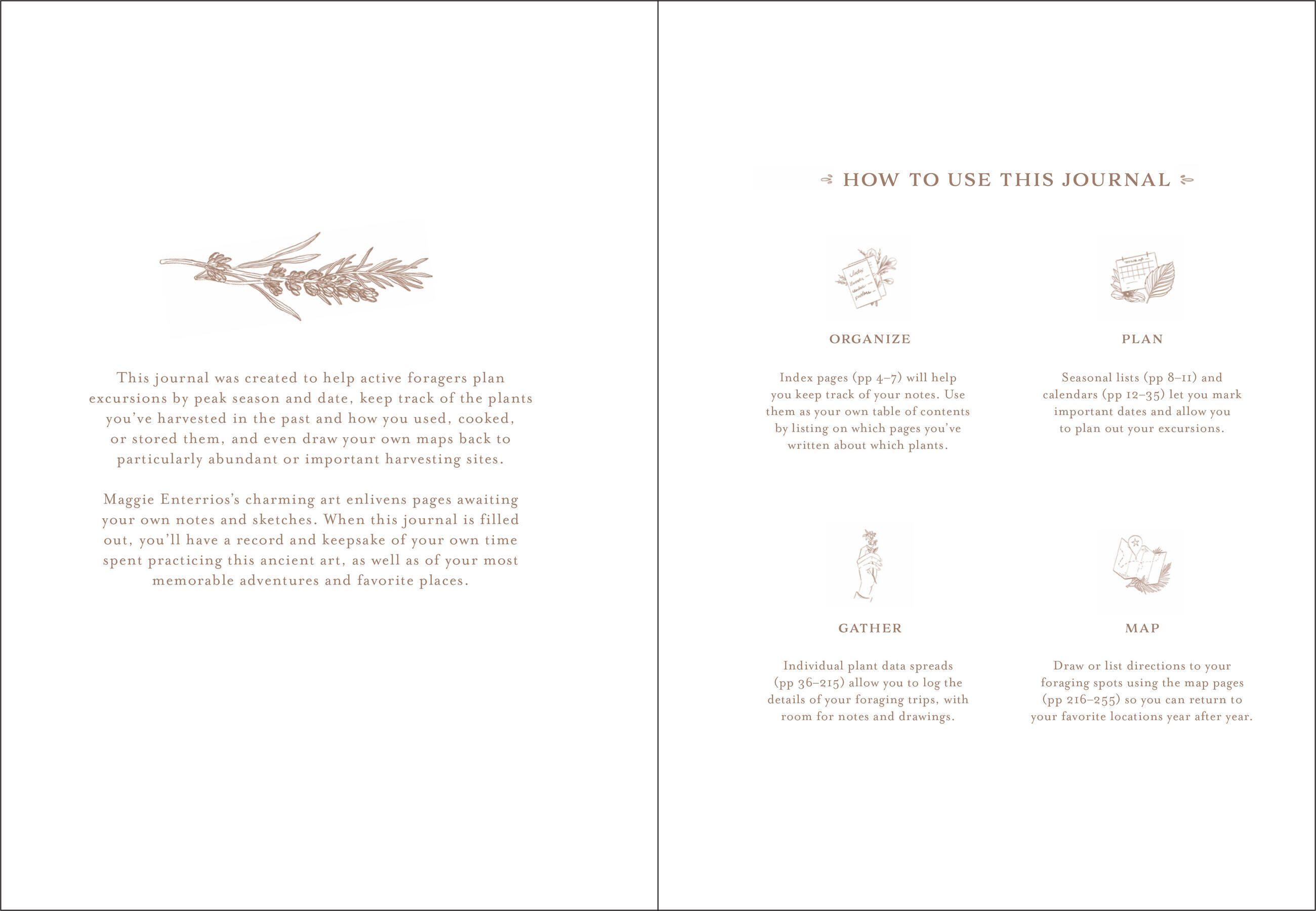 Beispielinhalt (Bild) Gather