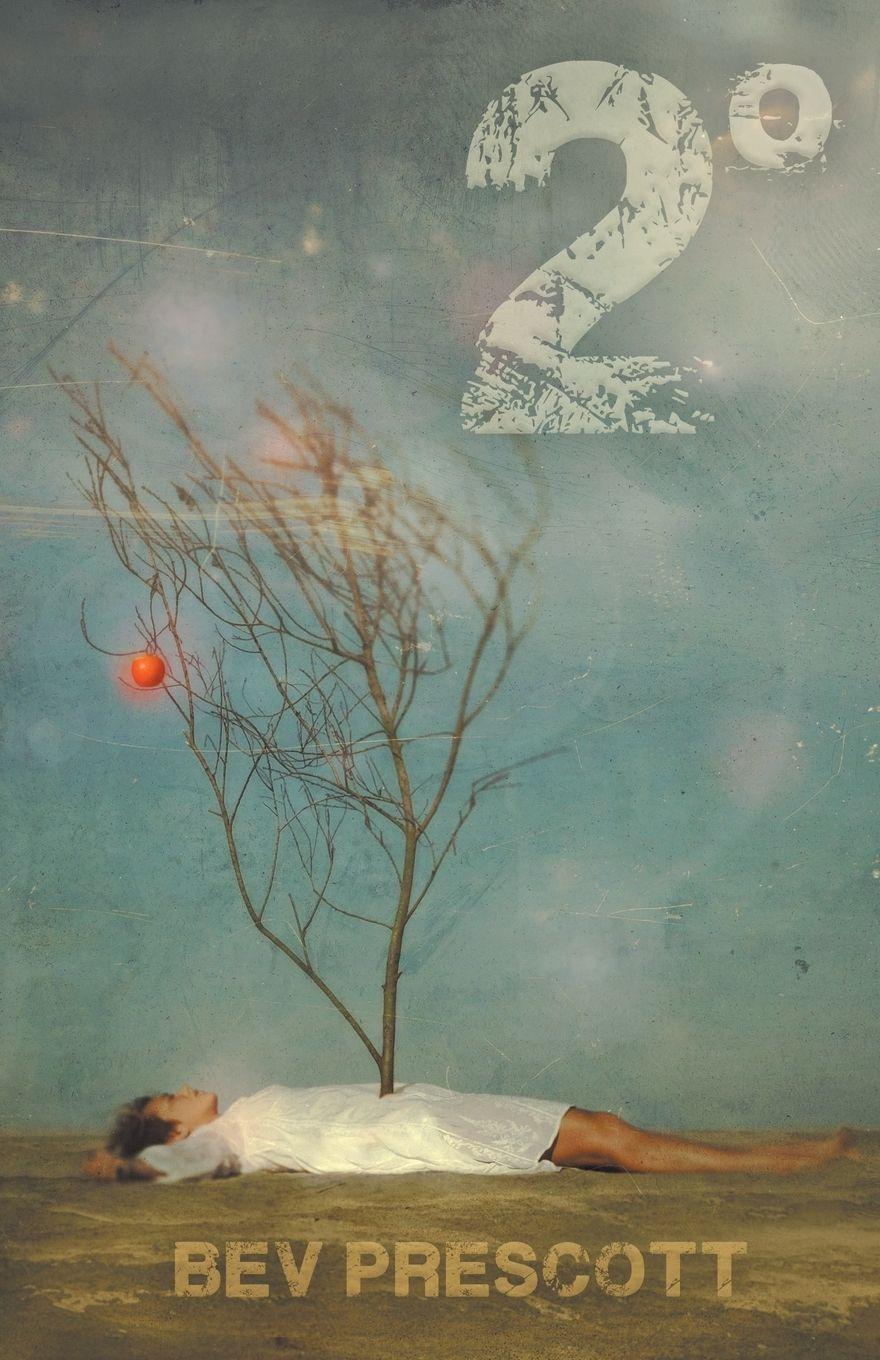 Vorderes Coverbild 2 Degrees