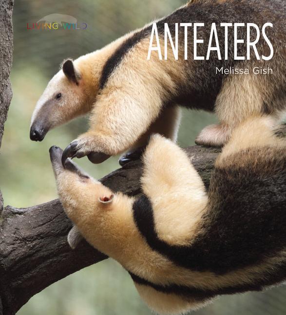 Vorderes Coverbild Anteaters