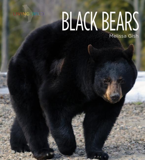 Vorderes Coverbild Black Bears