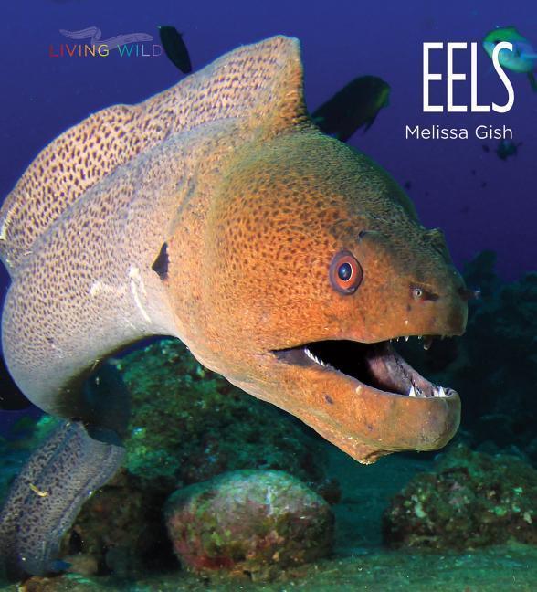 Vorderes Coverbild Eels