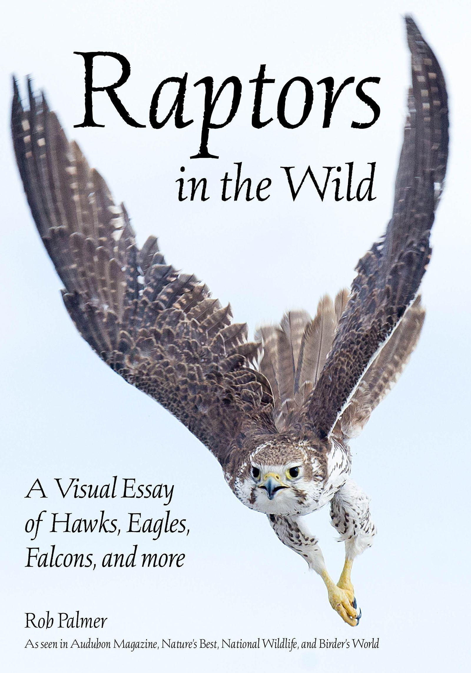 Vorderes Coverbild Raptors in the Wild