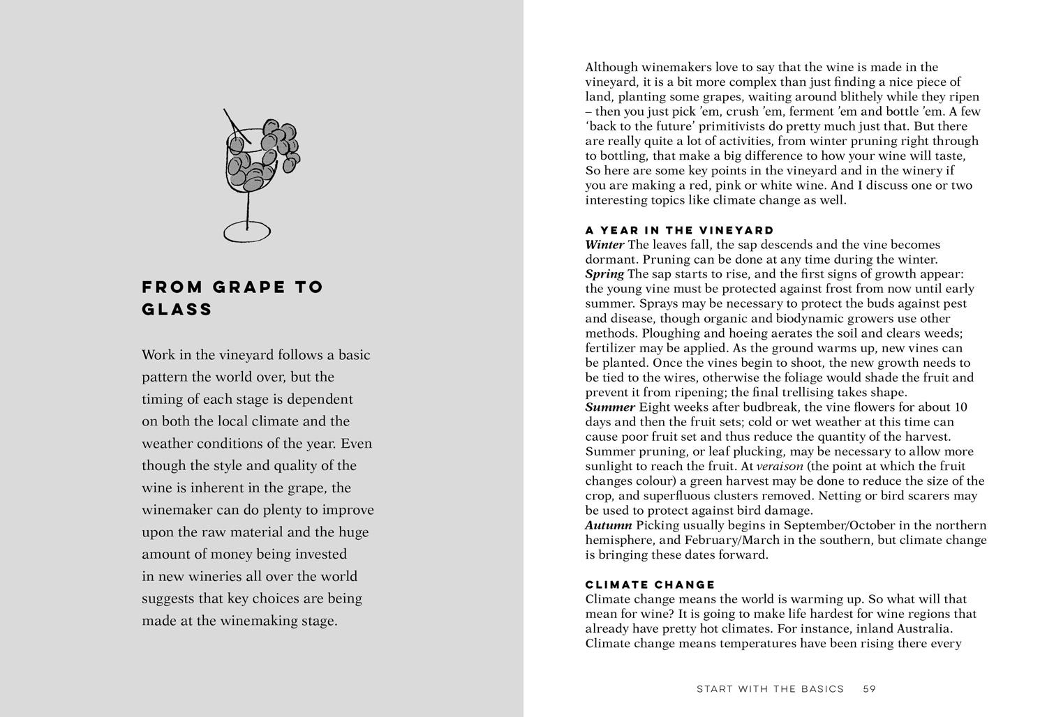 Beispielinhalt (Bild) Oz Clarke Wine by the Glass