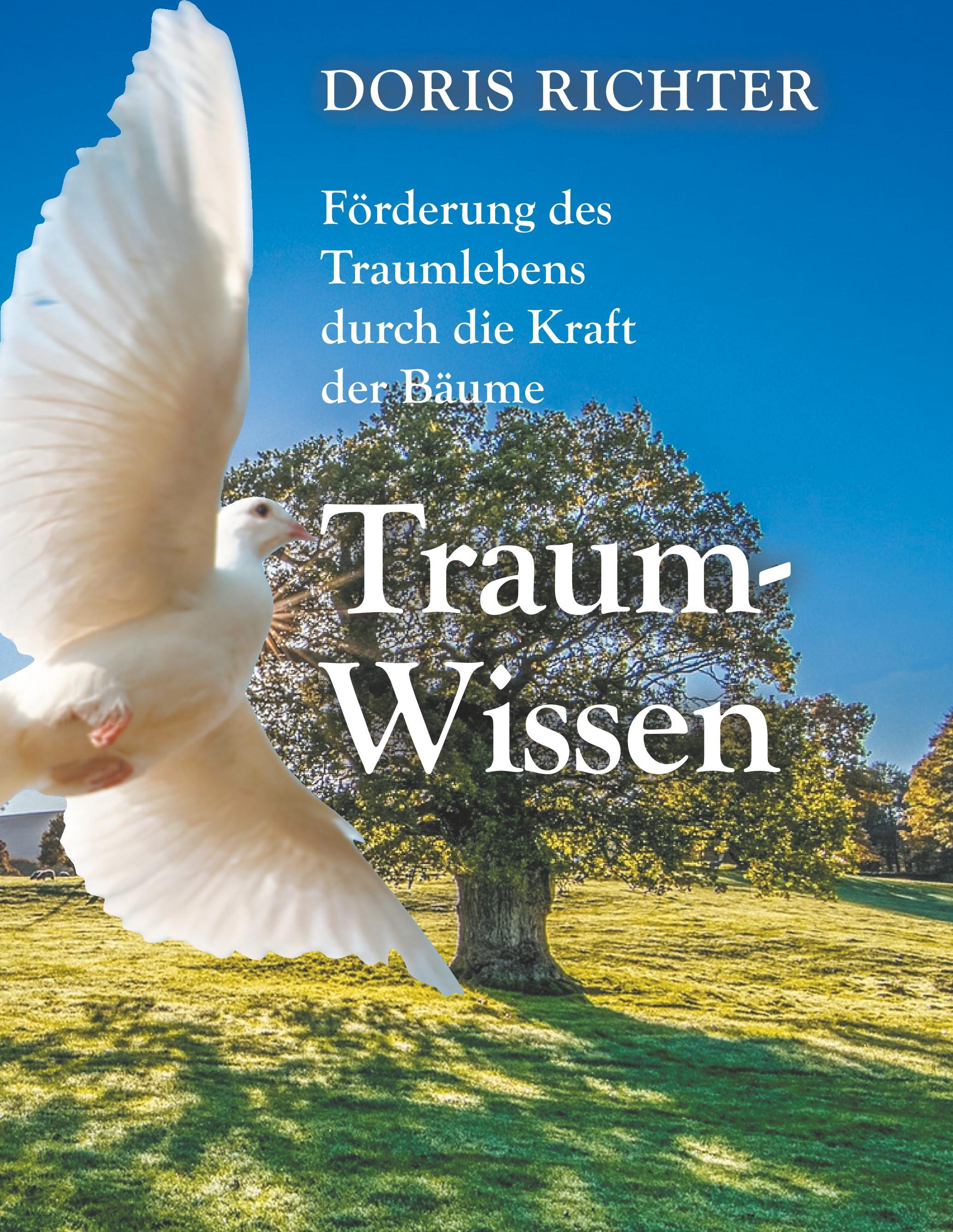 Vorderes Coverbild Traum - Wissen
