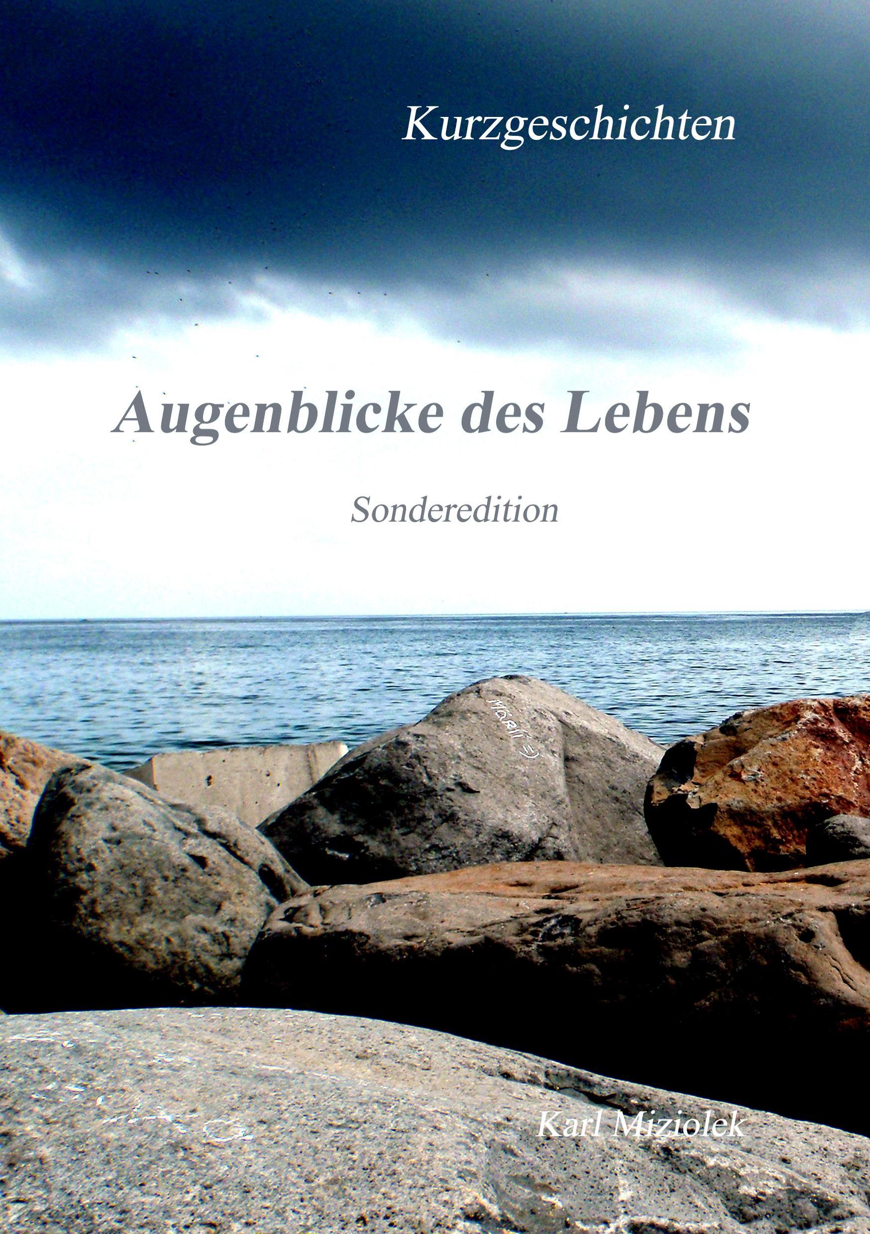 Vorderes Coverbild Augenblicke des Lebens