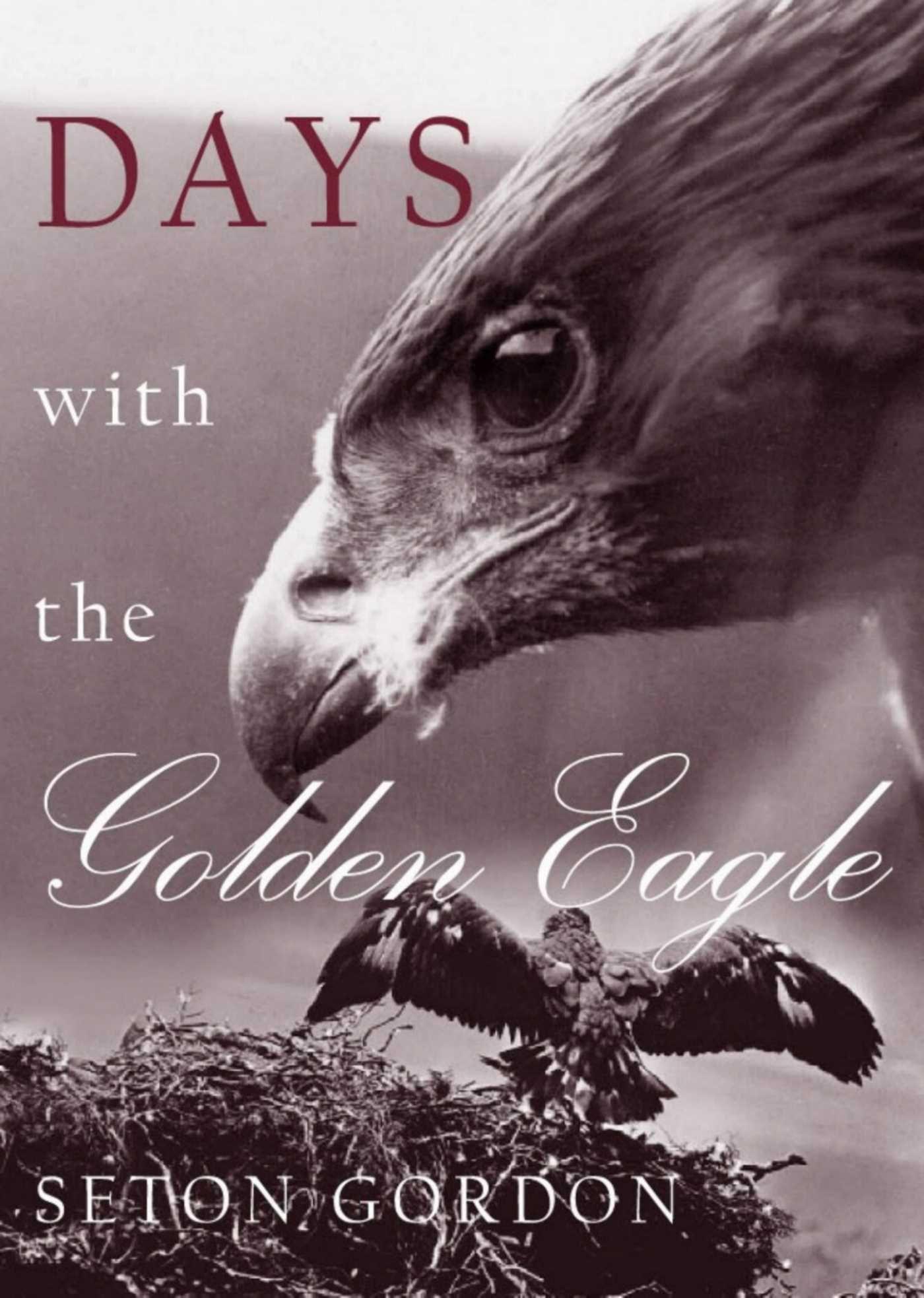 Vorderes Coverbild Days with the Golden Eagle