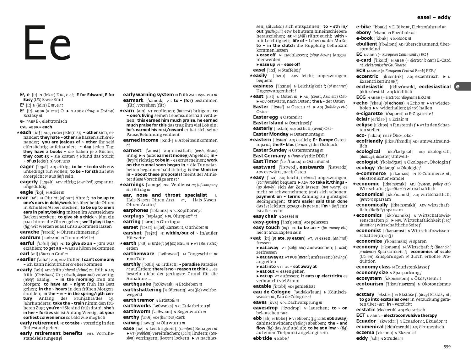 Beispielinhalt (Bild) German Dictionary and Grammar