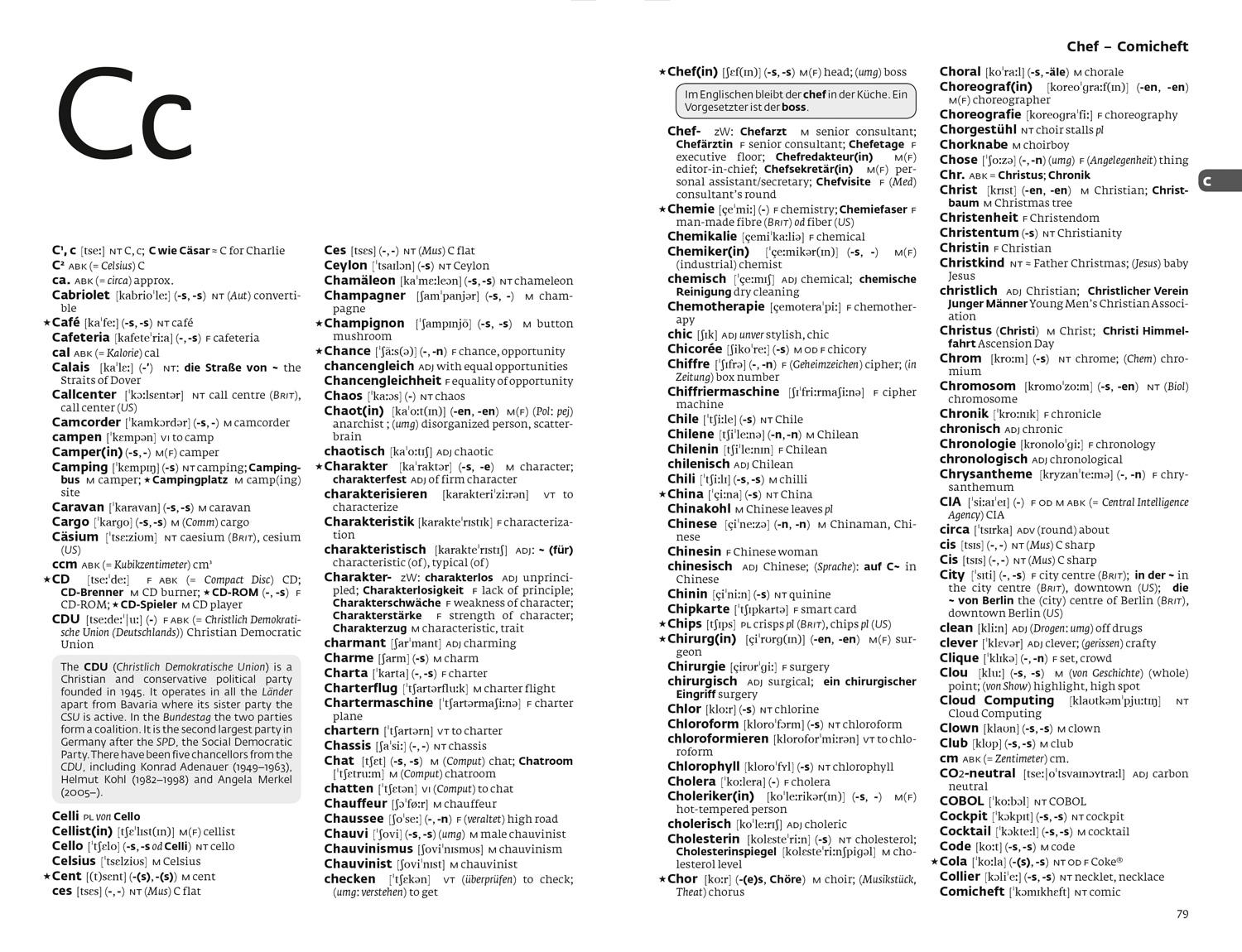 Beispielinhalt (Bild) German Dictionary and Grammar