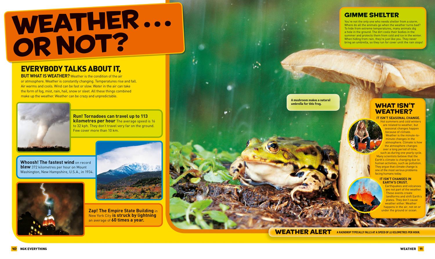 Beispielinhalt (Bild) Everything: Weather