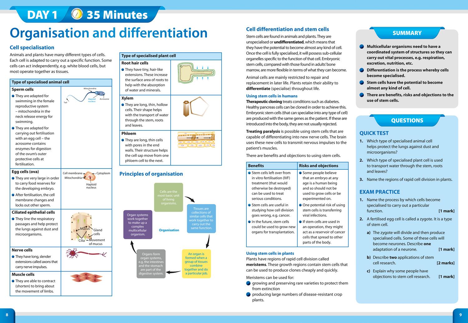 Beispielinhalt (Bild) GCSE 9-1 Combined Science In Two Weeks