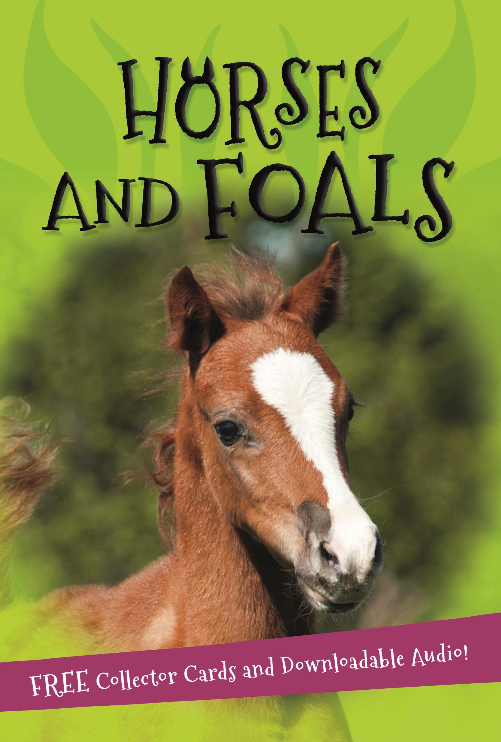 Vorderes Coverbild It's all about... Horses and Foals