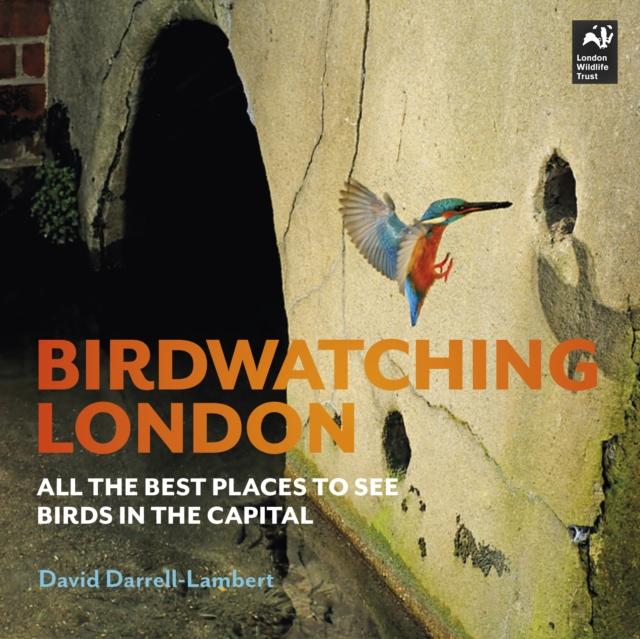 Vorderes Coverbild Birdwatching London