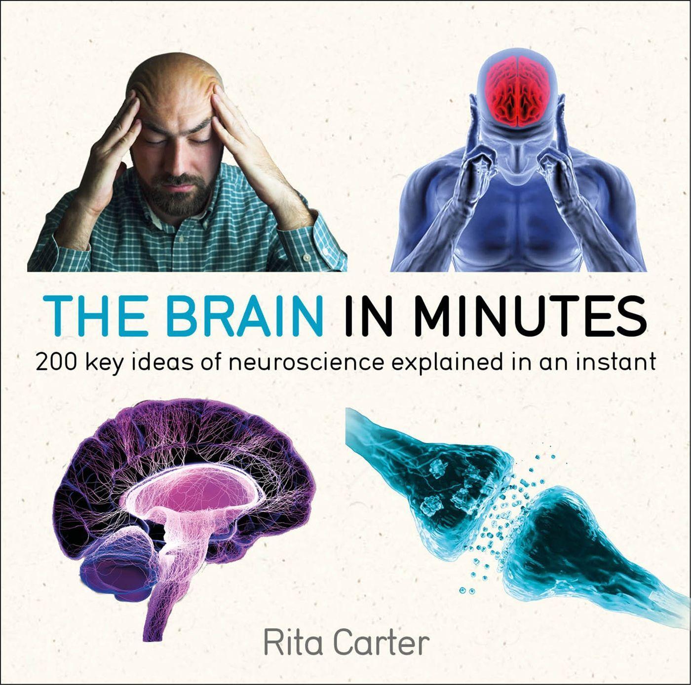 Vorderes Coverbild The Brain in Minutes