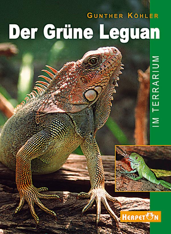 Vorderes Coverbild Der Grüne Leguan im Terrarium