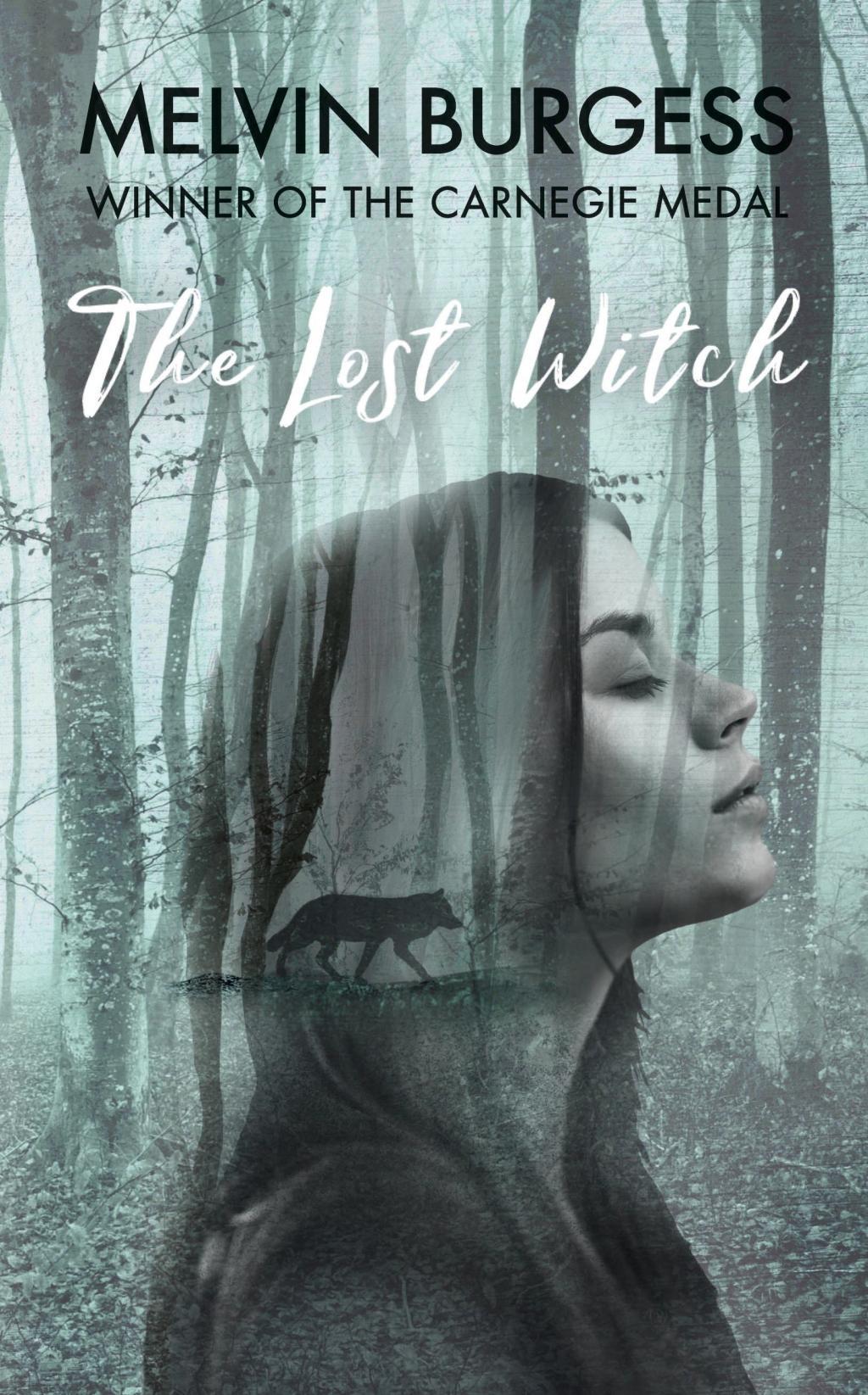 Vorderes Coverbild The Lost Witch