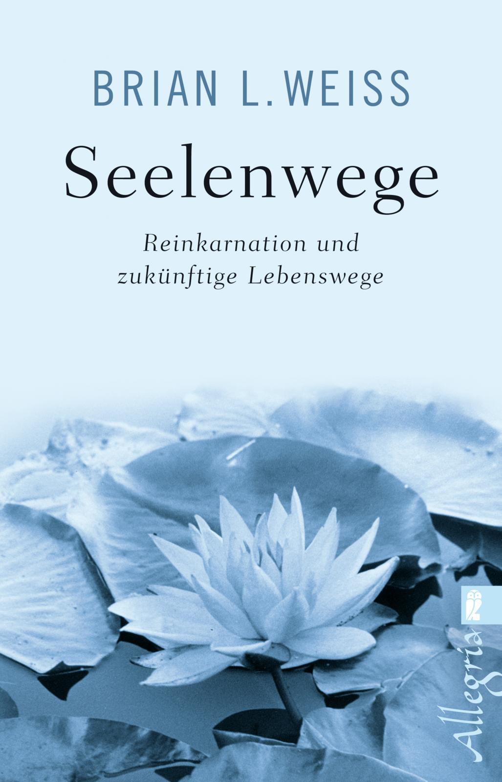 Vorderes Coverbild Seelenwege