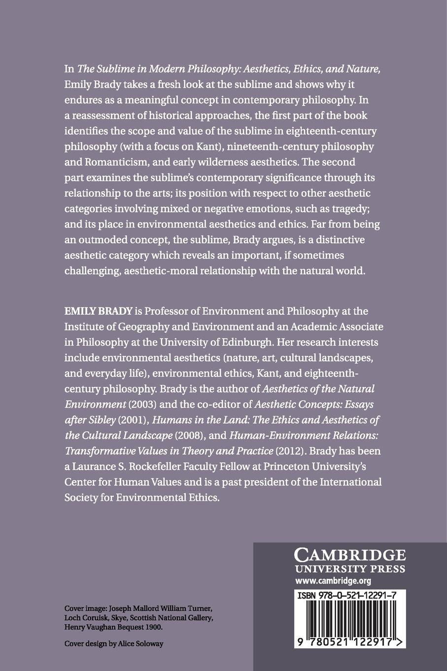 Rückseitencover The Sublime in Modern Philosophy