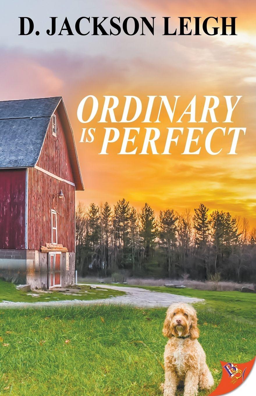 Vorderes Coverbild Ordinary Is Perfect