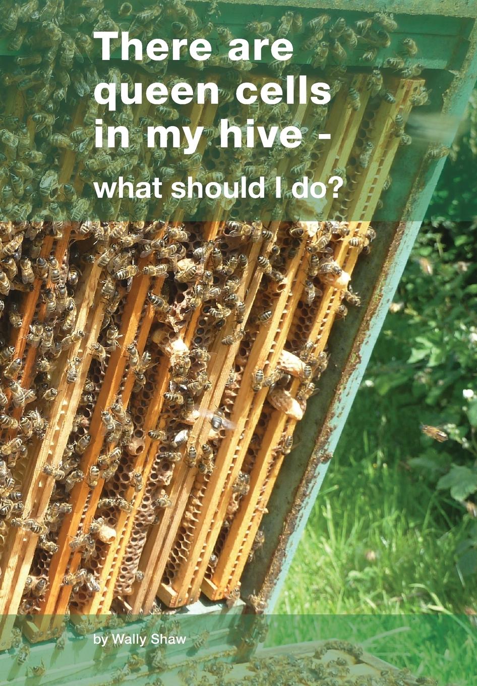 Vorderes Coverbild There are queen cells in my hive