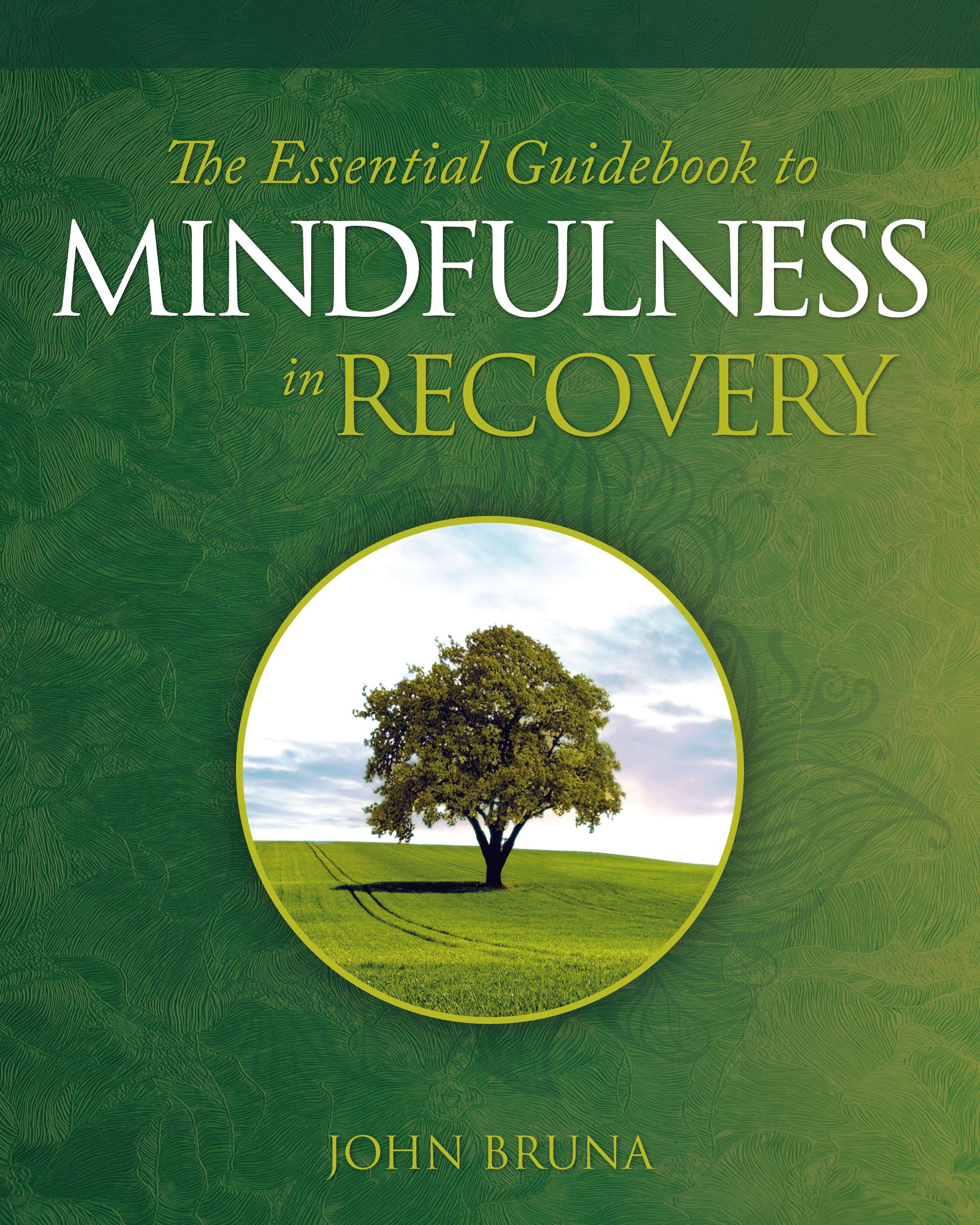 Vorderes Coverbild The Essential Guidebook to Mindfulness in Recovery