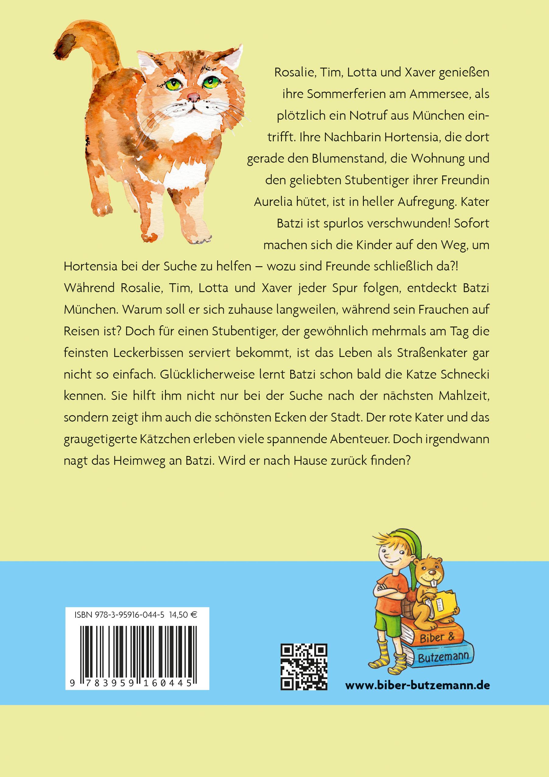 Rückseitencover Geheimnis um den roten Kater