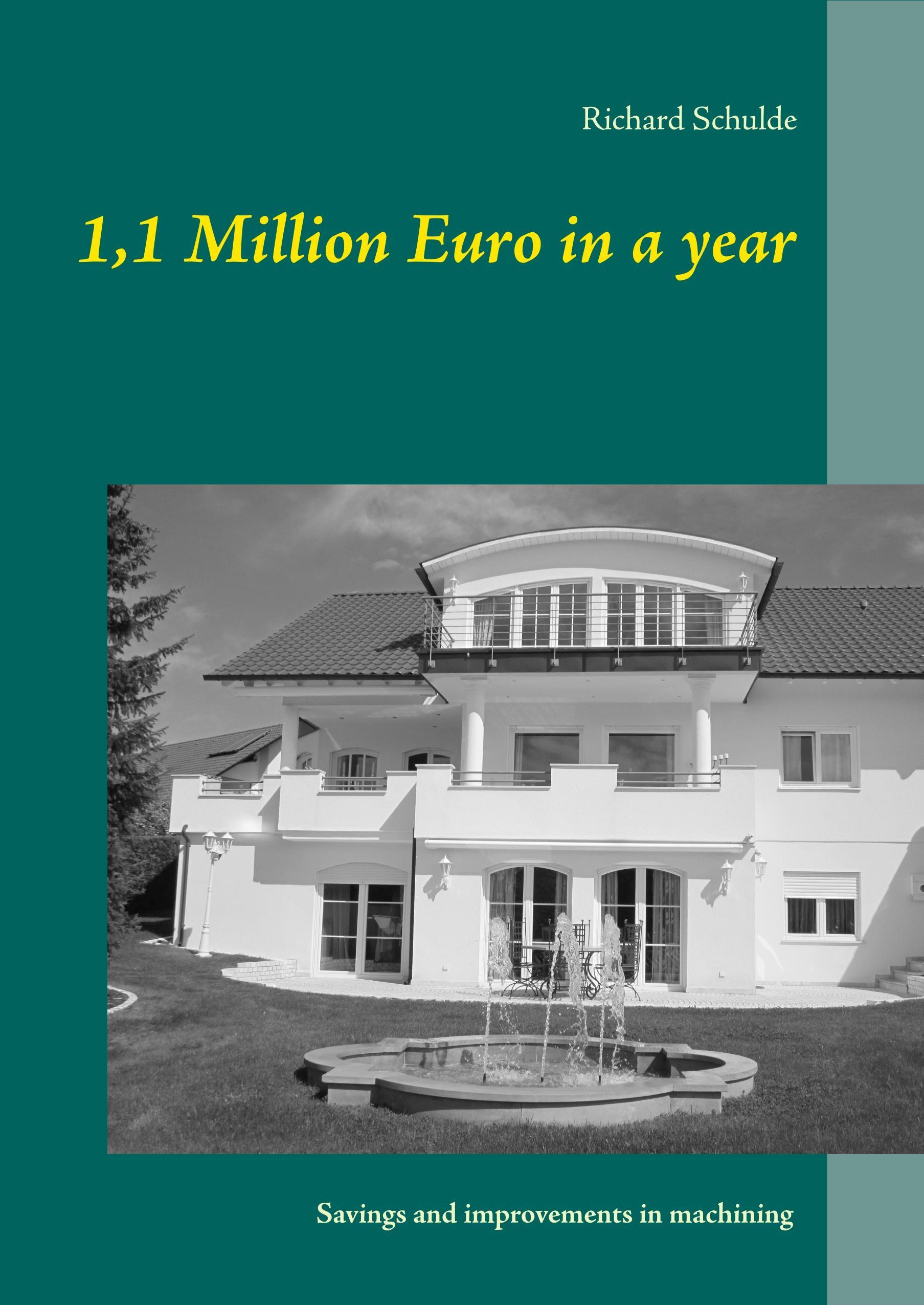 Vorderes Coverbild 1,1 Million Euro in a year