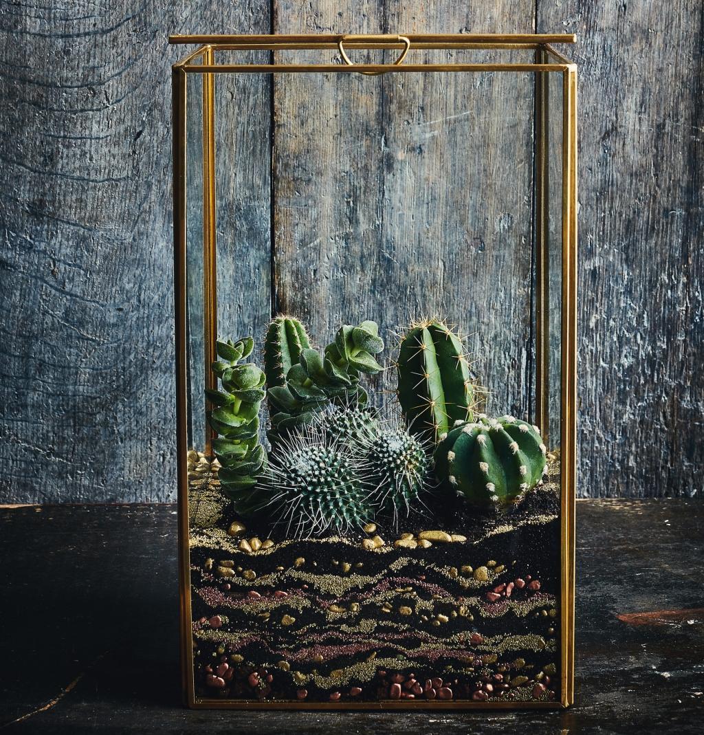 Beispielinhalt (Bild) Terrariums