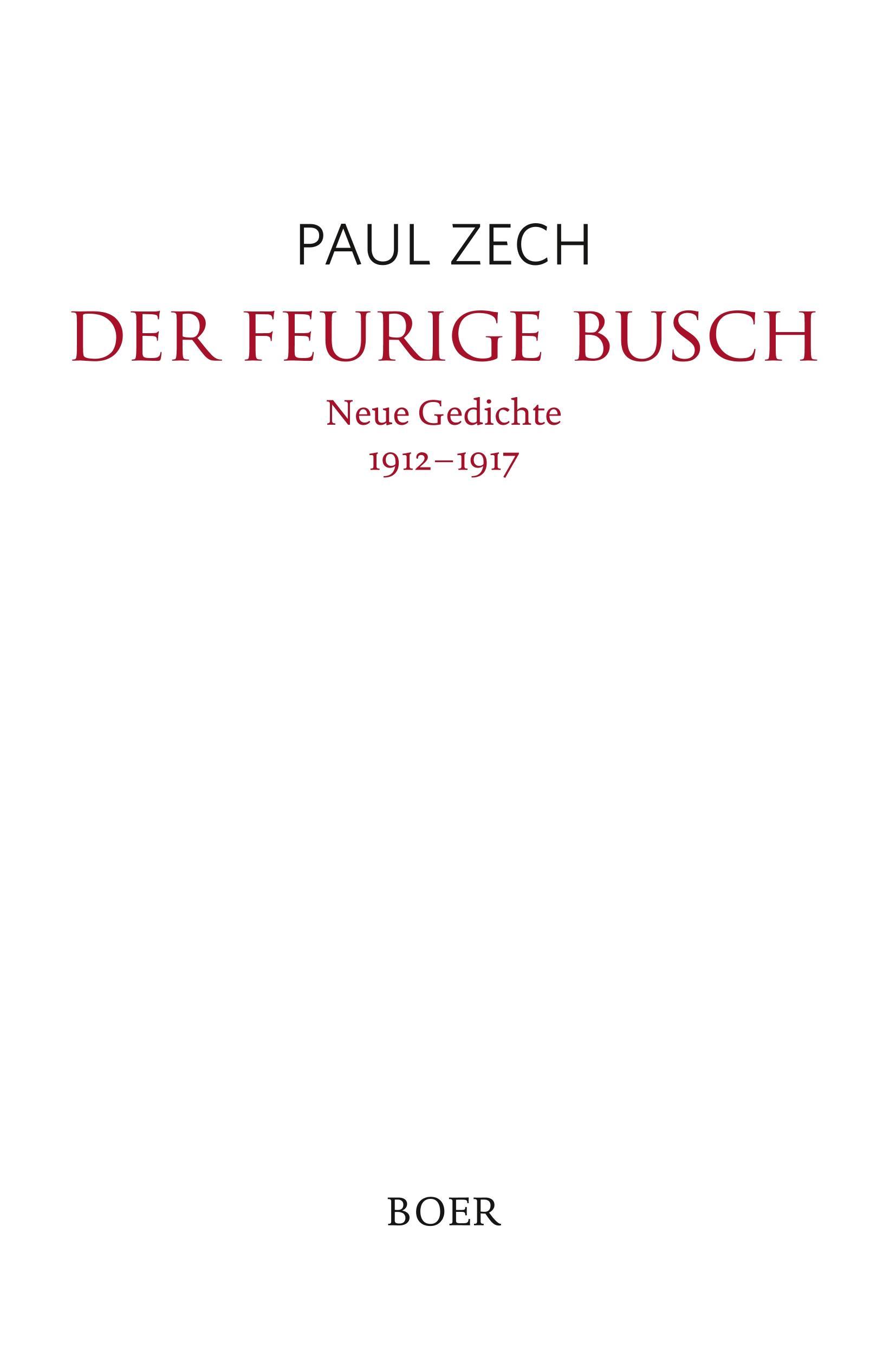 Vorderes Coverbild Der feurige Busch