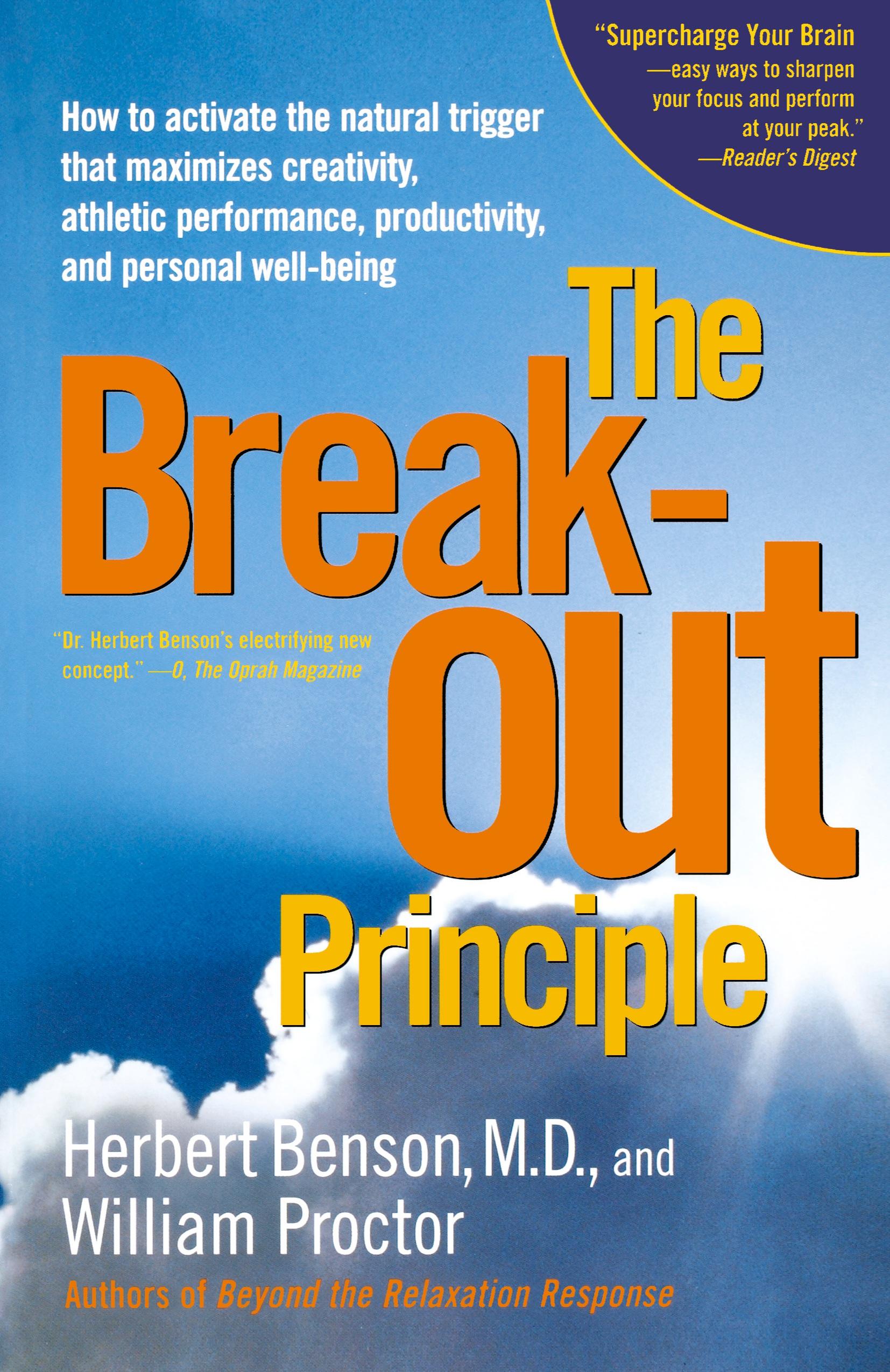 Vorderes Coverbild The Breakout Principle