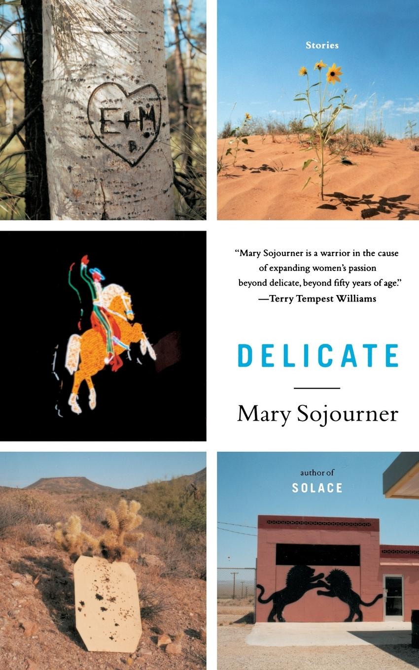 Vorderes Coverbild Delicate