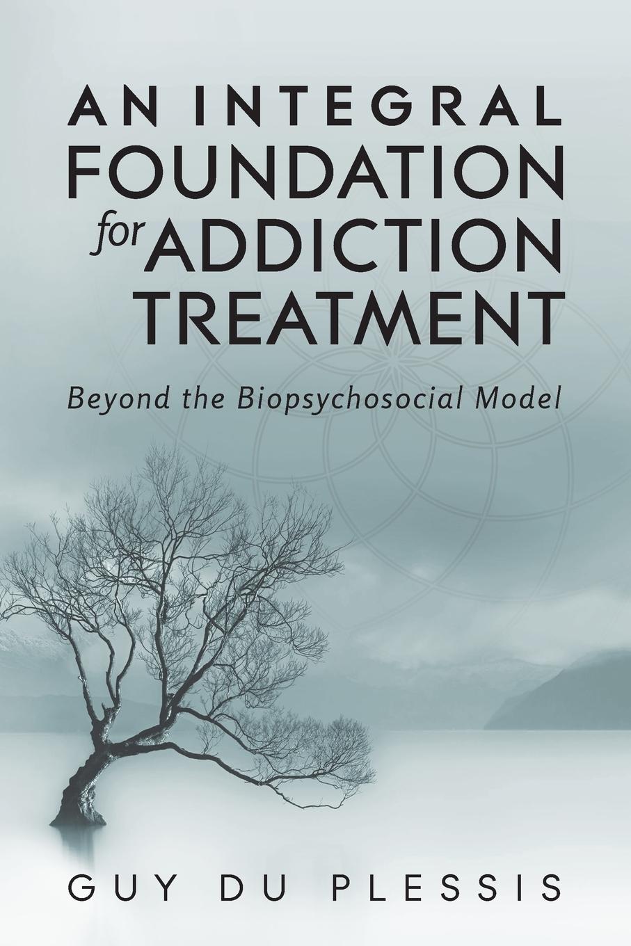 Vorderes Coverbild An Integral Foundation for Addiction Treatment
