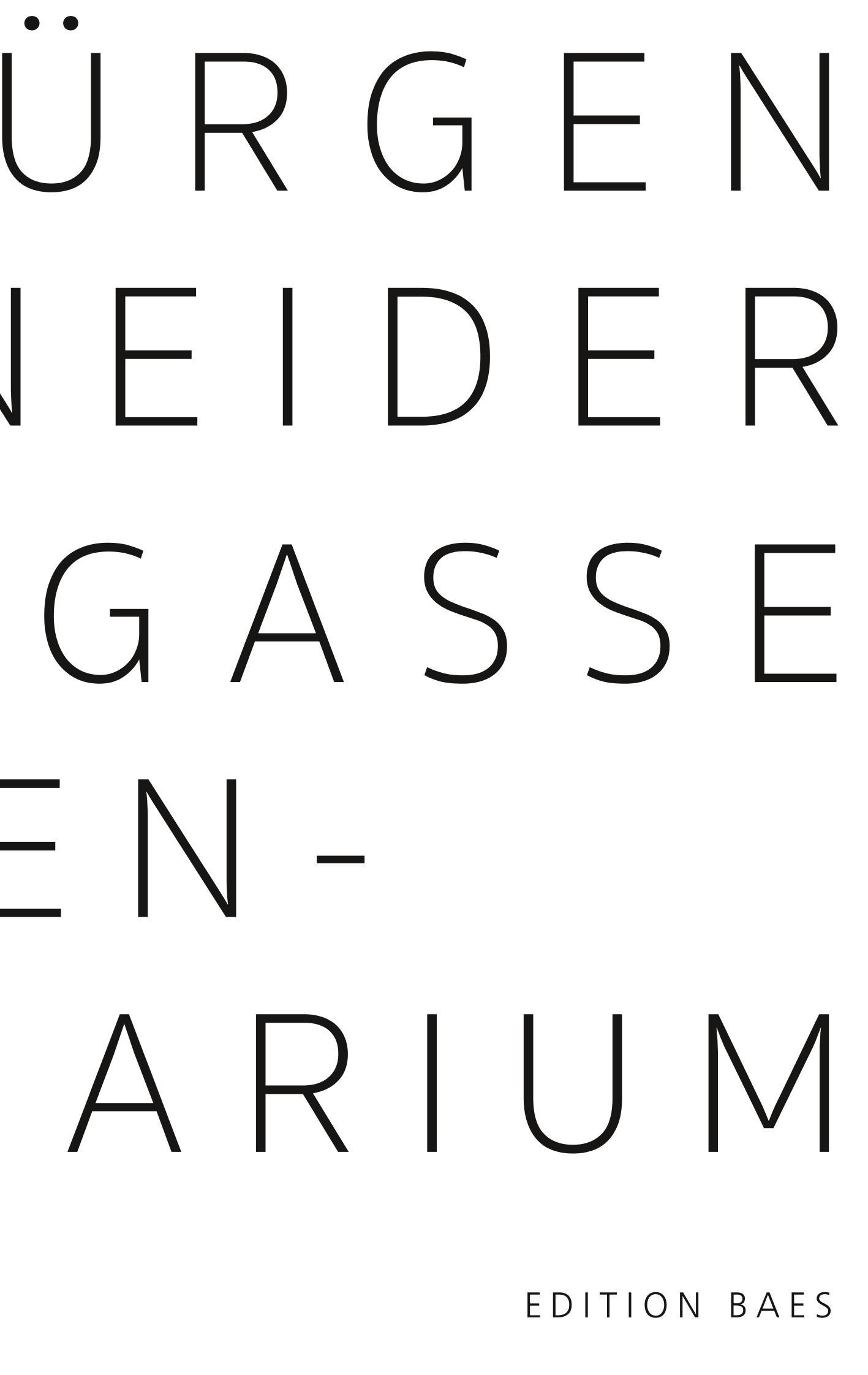 Vorderes Coverbild Anilingasse
