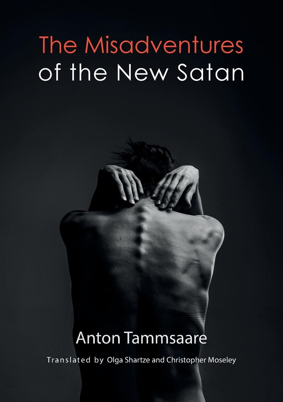 Vorderes Coverbild The Misadventures of the New Satan