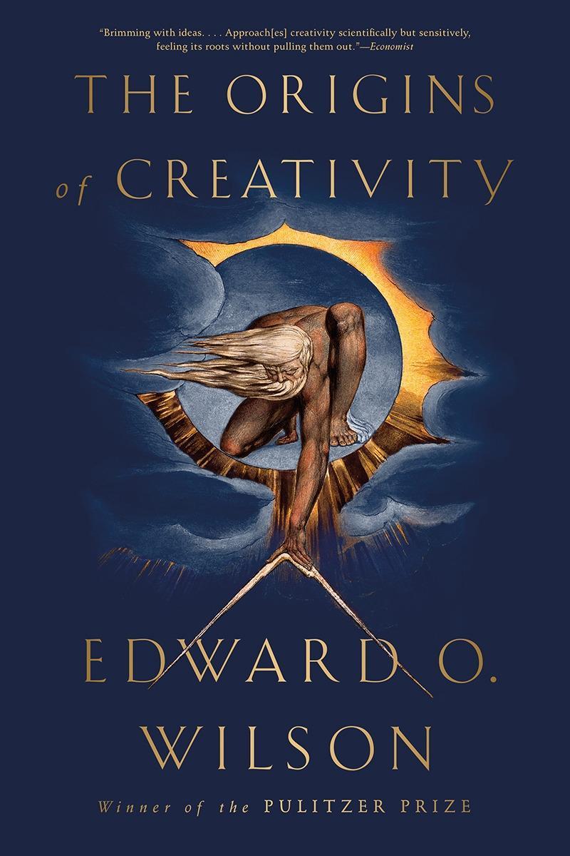Vorderes Coverbild The Origins of Creativity
