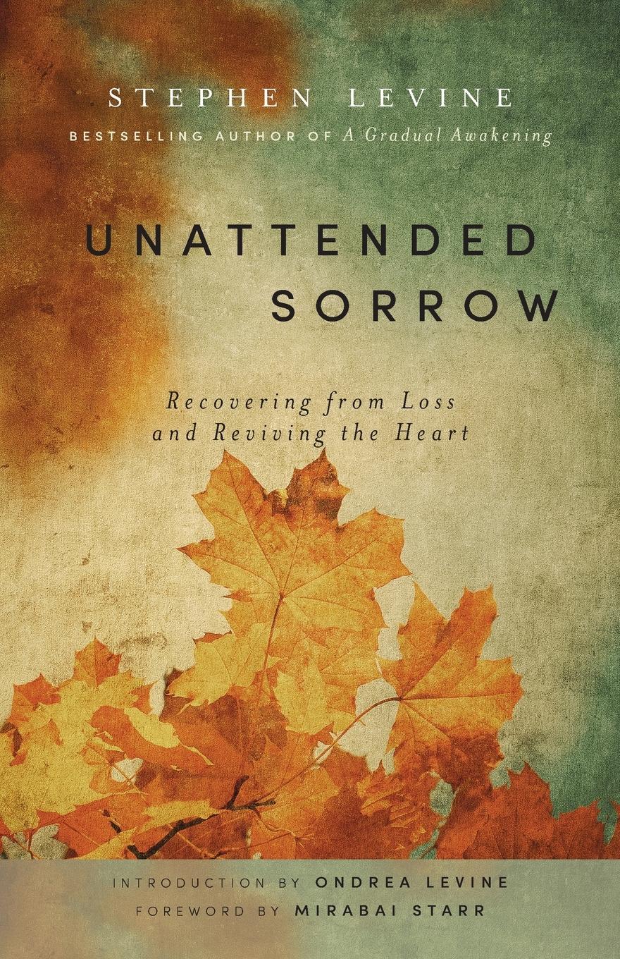 Vorderes Coverbild Unattended Sorrow