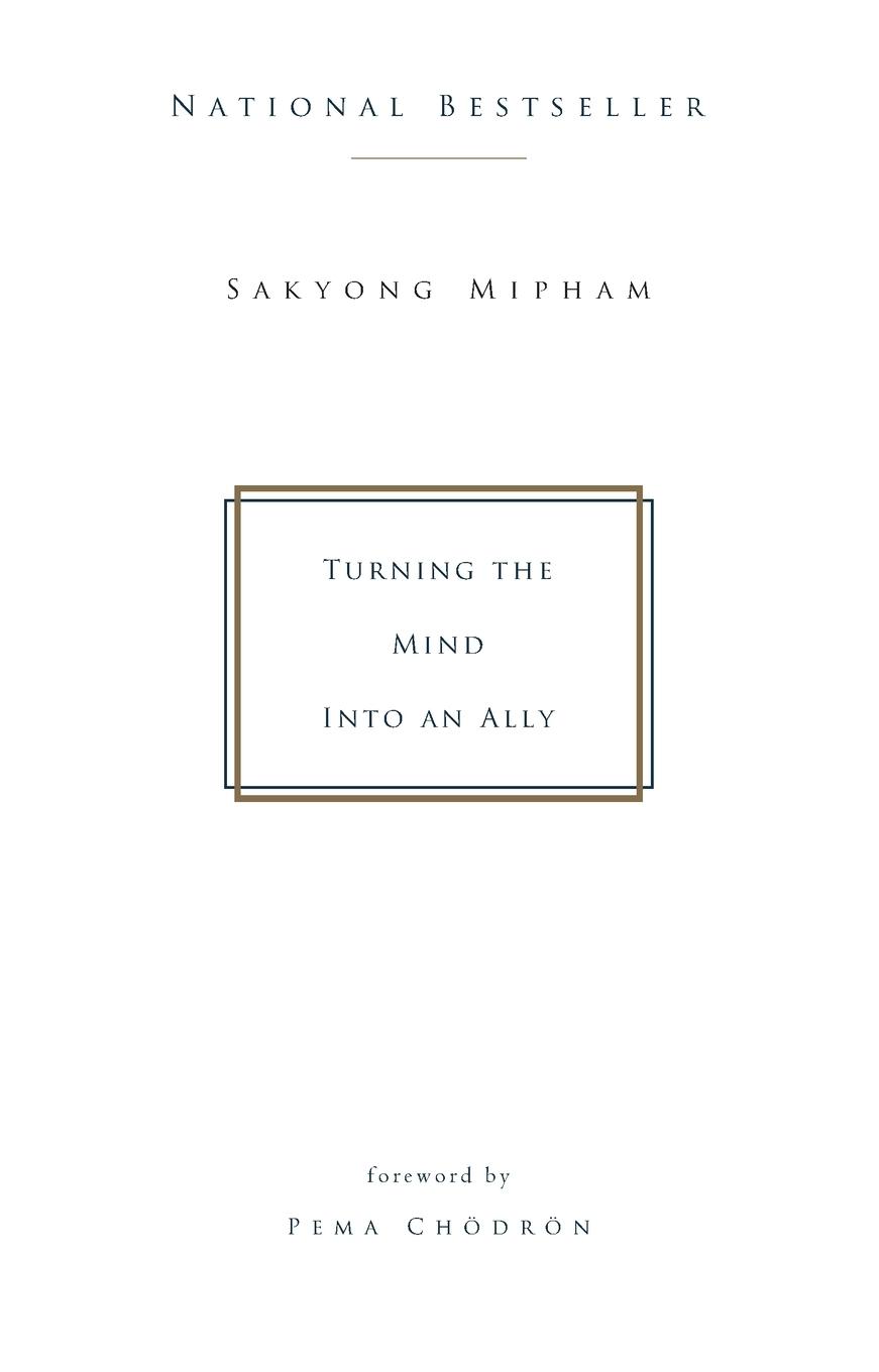Vorderes Coverbild Turning the Mind Into an Ally