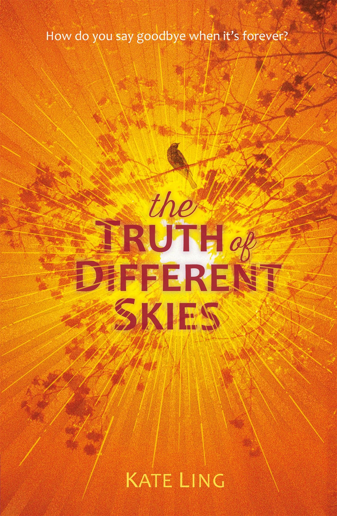 Vorderes Coverbild Ventura Saga: The Truth of Different Skies