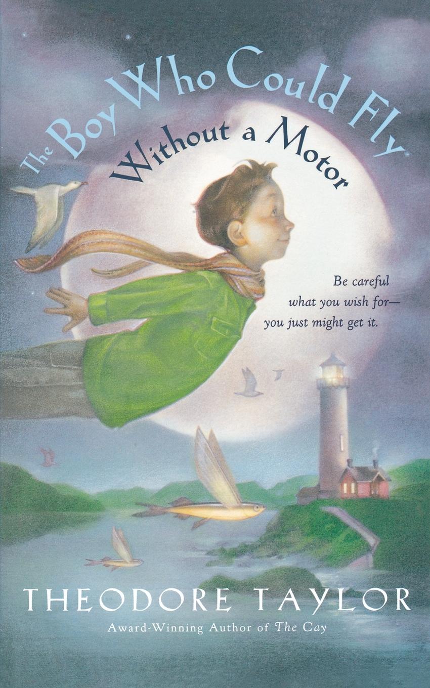 Vorderes Coverbild The Boy Who Could Fly Without a Motor